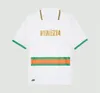 Venezia 21 22 23 24 FC Soccer Jerseys ARAMU FORTE Venice 2023 2024 BUSIO Shirts Home Away 3rd Golden Adukt Kids Kit Uniforms Beautiful Jersey Football 2025