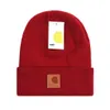 Vendita superiore Carhart Beanie Inverno Cappello lavorato a maglia unisex Gorros Bonnet Berretti con teschio Cappelli lavorati a maglia Berretto sportivo classico Uomo Donna Casual Berretti firmati all'aperto W-21