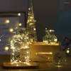 Cordas Luzes De Fada De Natal Fio De Cobre Led String USB Power Garland Operado Para Quarto Ano De Casamento Decoração De Casa