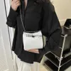 Cross Body Bags Cain Crossbody Bags Women Silver Leater Soulder Bags Summer Casual Female Luxury Brand and Bags and PursesblieBerryeyes