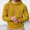 Pulls pour hommes 2023 Design de haute qualité Para Hombre Causal Homme Sweter Pulls Col montant Pull d'hiver avec capuche
