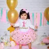 Vestidos da menina primeiro aniversário bebê menina festa vestido bonito rosa tutu bolo outfits criança meninas outono roupas conjunto 231018