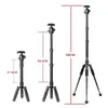 Tripodlar Xiletu FM5S Taşınabilir Tripode Hafif Seyahat Stand Masa Mezar Video Mini Tripod Kamera için 360 Derece Top Kafası DSLR SLR 231018