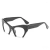 Sunglasses Mirror Frame Material Pc Flat Glasses Fashion Appearance Clothing Accessories Lens Quality Details