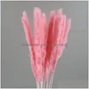 Other Home Decor Natural Dried Flower Pampas Reed Decoration Gray Large Wedding Layout Corner Shop Display Window Drop Delivery Garde Dhhcf