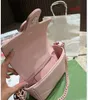 Luxury Designer Bags Handbags the tote bag Wallet Crossbody Bags Flannel Chain Autumn and Winter New Style Flap Shoulder Messenger Bags yu7