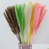 Other Home Decor Natural Dried Flower Pampas Reed Decoration Gray Large Wedding Layout Corner Shop Display Window Drop Delivery Garde Dhhcf