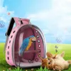 Pet Parrot Bird Travel Bag Space Capsule Transparent Backpack Breathable 360 degrees Sightseeing 210916272I