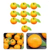 Party Decoration Fruit Plate Simulation Orange Flower Arrangement Plastic Foam 3.3x3.2cm Fake Artificial