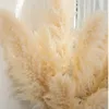 Decorative Flowers 6PCS Large Size Natural Pampas Grass Dried Flower Bouquet Home Decor Tall Fluffy Stems Living Room Wedding Backdrop