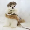 Hundebekleidung Weihnachtsmantel Karierter Mantel Haustier Plüschumhang Katzengurt Traktionsseil Designerkleidung 231017
