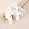 Decorative Flowers Home Decorations Luxury Style 5 Heads 68cm Film Butterfly Orchid Flower For Table Decor Wedding Backdrop Vase