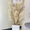 Decorative Flowers 6PCS Large Size Natural Pampas Grass Dried Flower Bouquet Home Decor Tall Fluffy Stems Living Room Wedding Backdrop