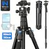 Stativ Professional High Tripod 203cm 80in Monopod 14 Skruvtelefonstativ för DSLR -kamera Fast Flip Lock CNC 36mm Ball Head Metal Body 231018