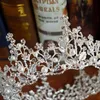 Floral Pearl Baroque Bridal Tiaras Crowns Hair Jewelry Women Headband Rhinestone Crystal Pageant Diadem Wedding Accessories Clips 2257