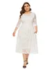 Abiti taglie forti Plus Size Mezza manica in pizzo a contrasto Semi velato Midi Prom Party Abito da sera da sposa per le donne 231017