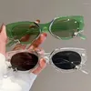 Sunglasses Y2K Cat Eye Oval Vintage Fashion Spirit Snake Decorated Eyewear Designer Trendy Glasses For Women Men Lentes De Sol