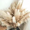 Decorative Flowers 6PCS Large Size Natural Pampas Grass Dried Flower Bouquet Home Decor Tall Fluffy Stems Living Room Wedding Backdrop