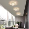 Ceiling Lights Household LED Chandelier Three Colors Lamp Modern Style Bedroom Light Surface Installation 220V Dining Room