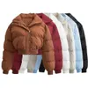 Kvinnor Down Parkas Ootd Brown Lapel Collar Cotton Coat Single Breasted Short Jacke Warm High Street Solid Chic Outwears PB ZA Woman Wine 231017