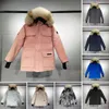 2024 Herr Jacket Designer Down Canadian Goose Jacket Winter Puffer Big Fur Hoody Apparel Fourrure Letters Printed Outwears