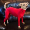 Vêtements pour chiens Pet Onesie Vêtements Moyen Grand Pyjama Anxiété Calmant Chemise 4 Jambes Combinaison Prévenir la perte de cheveux Chirurgie Récupération 231017