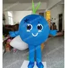 Performance Blueberry Mascot Costumes Halloween Cartoon Character Outfit Suit Xmas Outdoor Party Outfit unisex PREMOTIONAL REDLÄGGREDSER