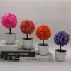 Fleurs décoratives 2 merveilleux choix de cadeaux plantes artificielles d'intérieur en Pots pour les proches bonsaï