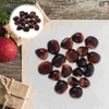 Decorazione per feste Noci artificiali Alimentari Artigianali Casa Finte castagne Decorazioni di noci Ornamento di castagne Natale finto