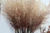 Decorative Flowers 1 PCS Beautiful Brown Plastic Withered Grass Hay Bouquet Attachment Home Decoration F566