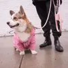 Vêtements pour chiens britanniques rétro rembourrés coupe-vent imperméable imperméable veste pour animaux de compagnie manteaux petits vêtements pour grands chiens