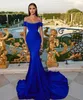 Roayl Blue Plus Size Mermaid Evening Dresses Spaghetti Straps Beaded Pleats Draped Floor Length Formal Wear Party Dress Pageant Engagement Celebrity Prom Gowns