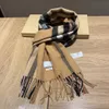 New Fashion Designer Women Cashmere Scarf Classic Plaid Scarves Tassel Soft Touch Warm Winter Long Shawls Seda satin Mens scarf skate skateboard Scarf