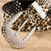 Bälten Retail Women's Belt of Leopard Mönster Läder Rhinestone Studded Belt Rivet Strap Tail Belts For Women 3,3 cm Bredd 231017