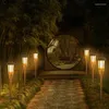 Luce esterna solare Giardino Prato Decorativo Plug-in Accessori elettronici stradali Lampada Fiamma Torcia Decorazione paesaggistica