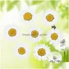 Faux Floral & Greenery Faux Floral Greenery 120Pcs Pressed Press Dried Daisy Dry Flower Plants For Epoxy Resin Pendant Neckl Dhgarden Dhdyj