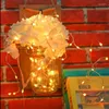 Cordas Luzes De Fada De Natal Fio De Cobre Led String USB Power Garland Operado Para Quarto Ano De Casamento Decoração De Casa