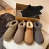 Designer clássico mini botas botas de neve mulheres homens pele de carneiro tasman tazz castanha areia mostarda semente bege australiano inverno tornozelo bota