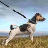 Köpek yakaları kısa naylon bungee tasma yaralanması kol ve omuzda köpekler büyük orta orta rulet için sağlam bir şekilde incinmekten kurtarmak
