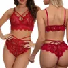 Sexy CostumesSexy Erotic Lingerie Women Transparent Bra and Panty Sets See Through Lingerie Set Ladies Sexy Underwear Teddy Babydoll Costumes