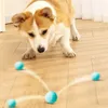 Игрушки для собак жевательные игрушки HOOPET Электрический катящийся шарик для кошек Интерактивное обучение для маленьких автоматических самодвижущихся котят Аксессуары для домашних животных 230819