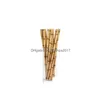 Drinking Straws Biodegradable Bamboo St Paper Green Sts Eco Friendly 25 Pcs A Lot On Promotion Ewe5743 Drop Delivery Home Garden Kit Dhp7K