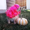 Dog Apparel Cute Headgear Adjustable Washable Colored Small Medium Large Dogs Curly Wig Pet Dress Up