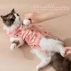 Trajes de gato gatinho recuperação terno pijama luz absorção de umidade e-collar alternativa spay para doenças de pele