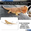Reptilleveranser frakt Yegbong OEM ODM Reptilleveranser Hammock Recliner med Sug Cup för Lizard Gecko för att klättra Triangle Net Hom Dhlnz