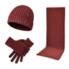Großhandel OEM Herren Kinder Acryl Rippstrick Winter Beanie Mütze Schal und Handschuhe Paar Set mit individuellem Lederaufnäher