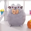 Nouveau produit mignon poupée de chat potelé en peluche poupée mignon dessin animé biscuit chat oreiller en gros