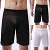 Underbyxor långa boxarehorts ultratunna män se genom korta underkläder ungdom ren mesh bulge påse shorts manliga pyjamas trosor