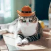 Hundkläder cowboy hattar roliga fest för husdjur hundkatter kostymtillbehör Chrismas Hollween 2st