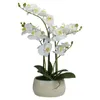 Fiori decorativi Pianta artificiale di orchidea bianca e gialla con un vaso ovale Decor da tavolo